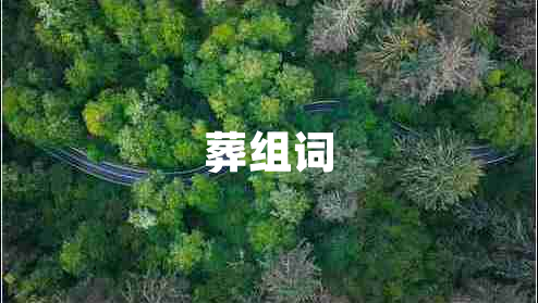 葬組詞