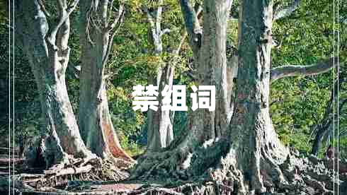 禁組詞