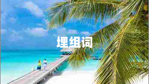 埋組詞
