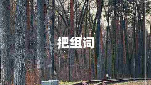 把組詞