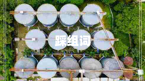 踩組詞