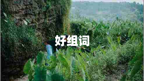 好組詞