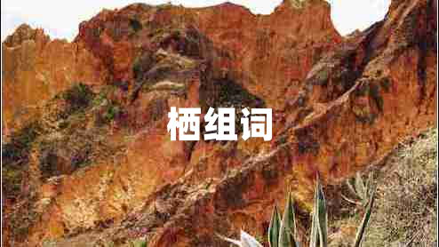棲組詞
