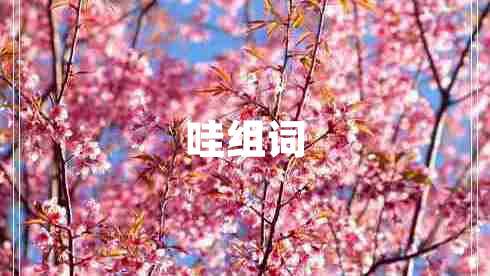 哇組詞