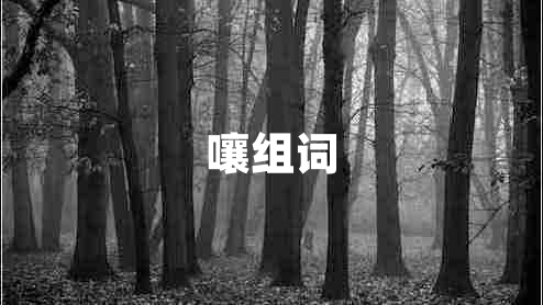 嚷組詞