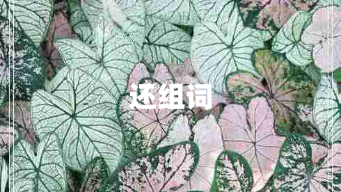 還組詞