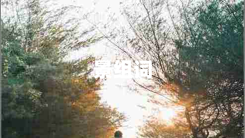 景組詞