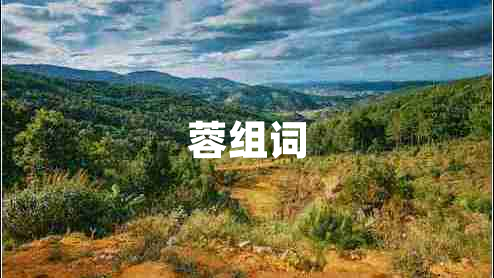 蓉組詞