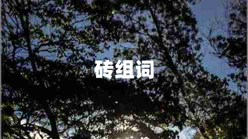 磚組詞