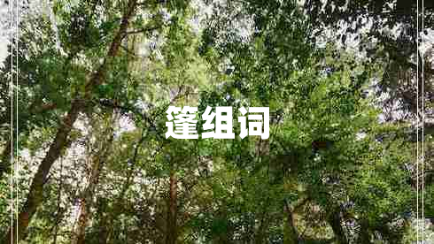 篷組詞