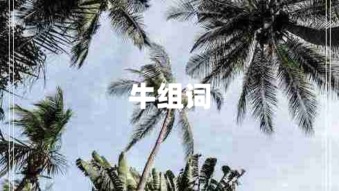 牛組詞
