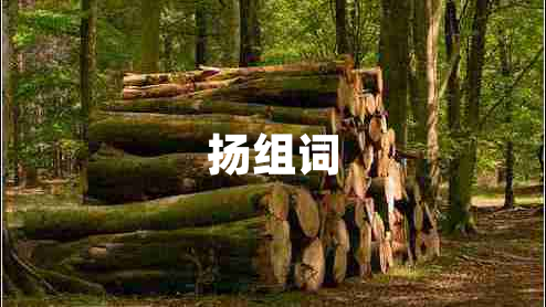揚(yáng)組詞
