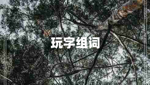 玩字組詞