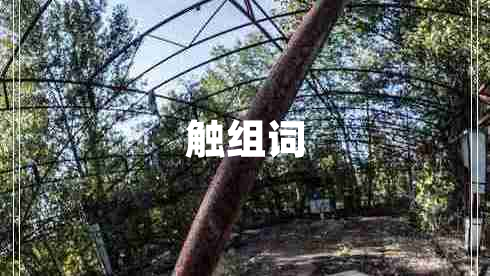 觸組詞