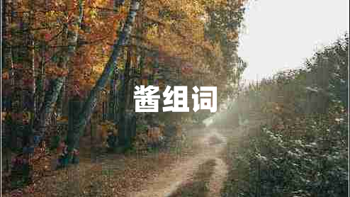醬組詞