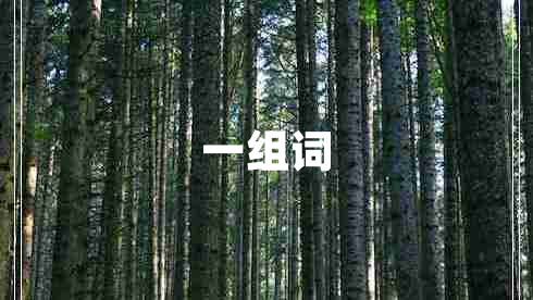 一組詞