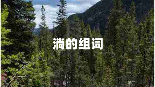 淌的組詞