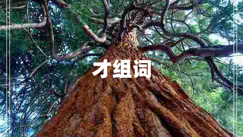 才組詞