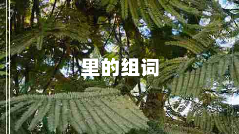 里的組詞