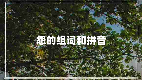 怨的組詞和拼音