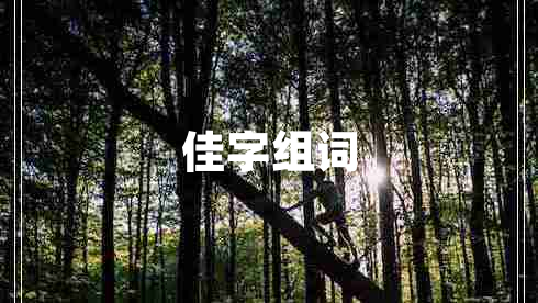 佳字組詞