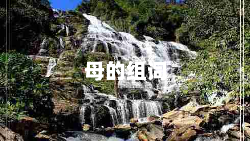 母的組詞