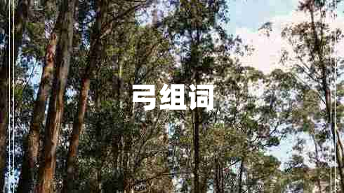 弓組詞