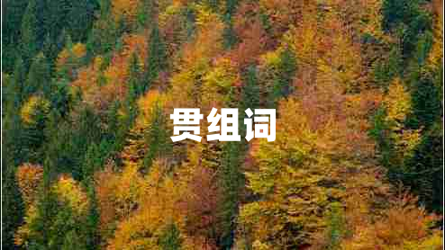 貫組詞