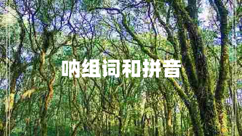 吶組詞和拼音