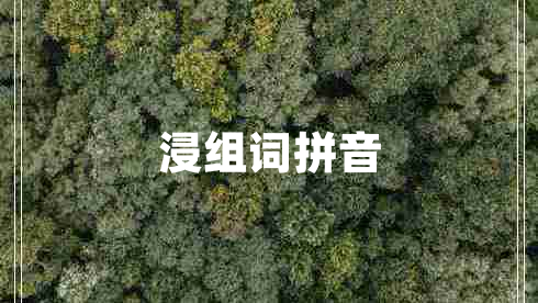 浸組詞拼音