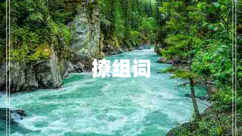 撩組詞