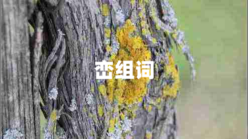巒組詞