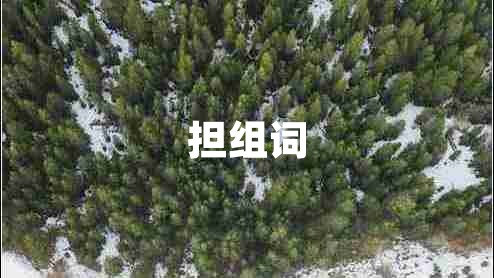 擔組詞