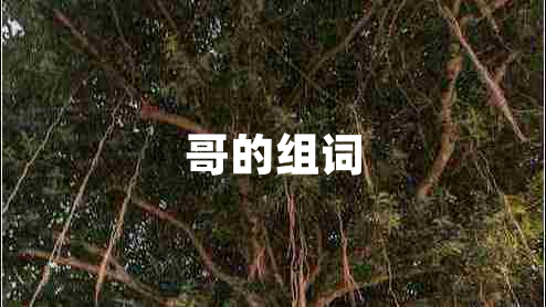哥的組詞