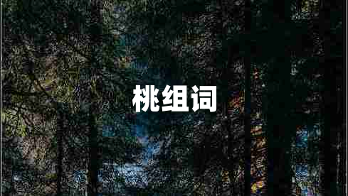 桃組詞