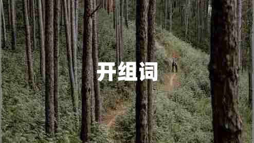 開(kāi)組詞