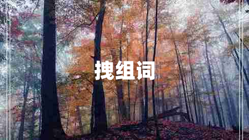 拽組詞