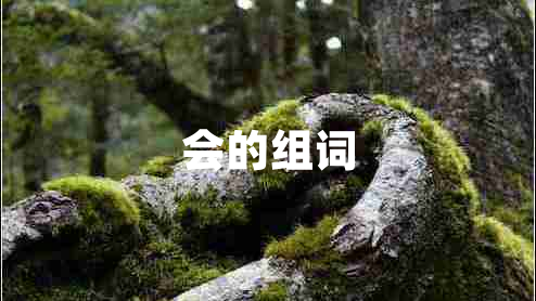 會(huì )的組詞