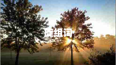 旋組詞