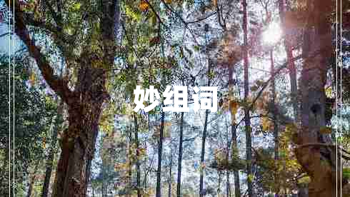 妙組詞