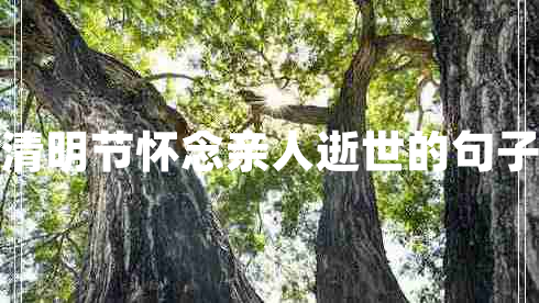 清明節懷念親人逝世的句子