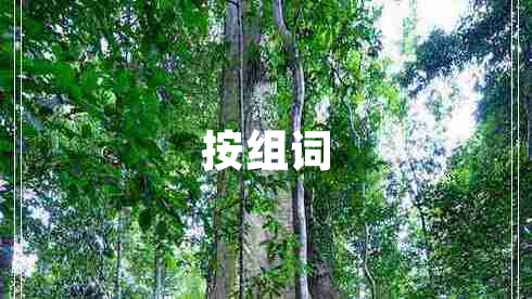 按組詞