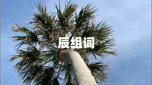 辰組詞