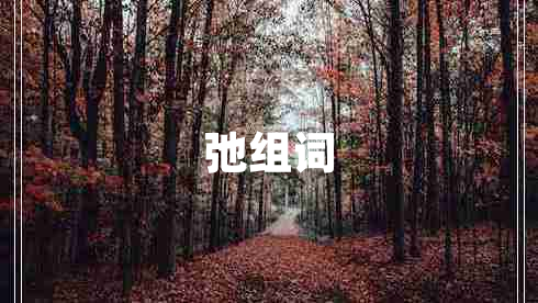 弛組詞