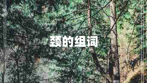 頸的組詞
