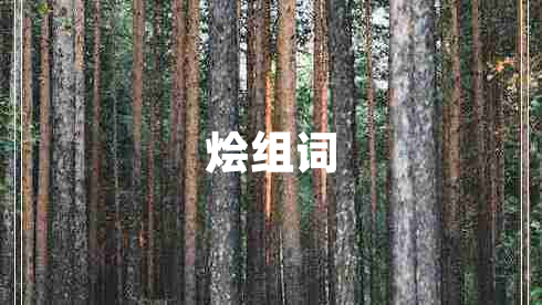 燴組詞