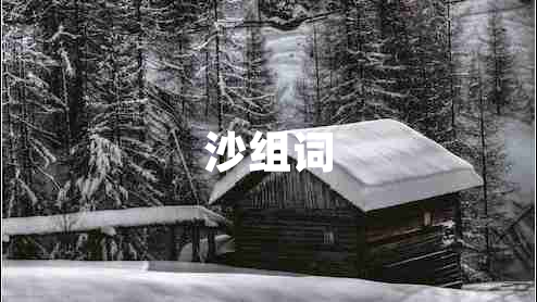 沙組詞