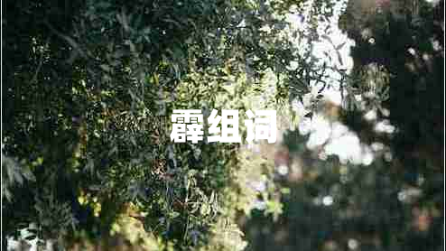 霹組詞