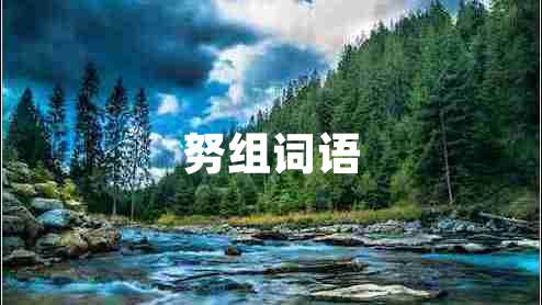 努組詞語(yǔ)