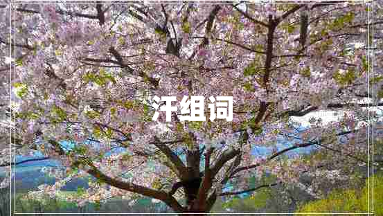 汗組詞